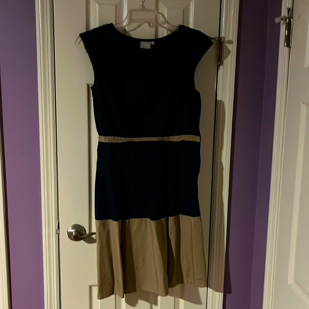 Blue and tan cotton dress.